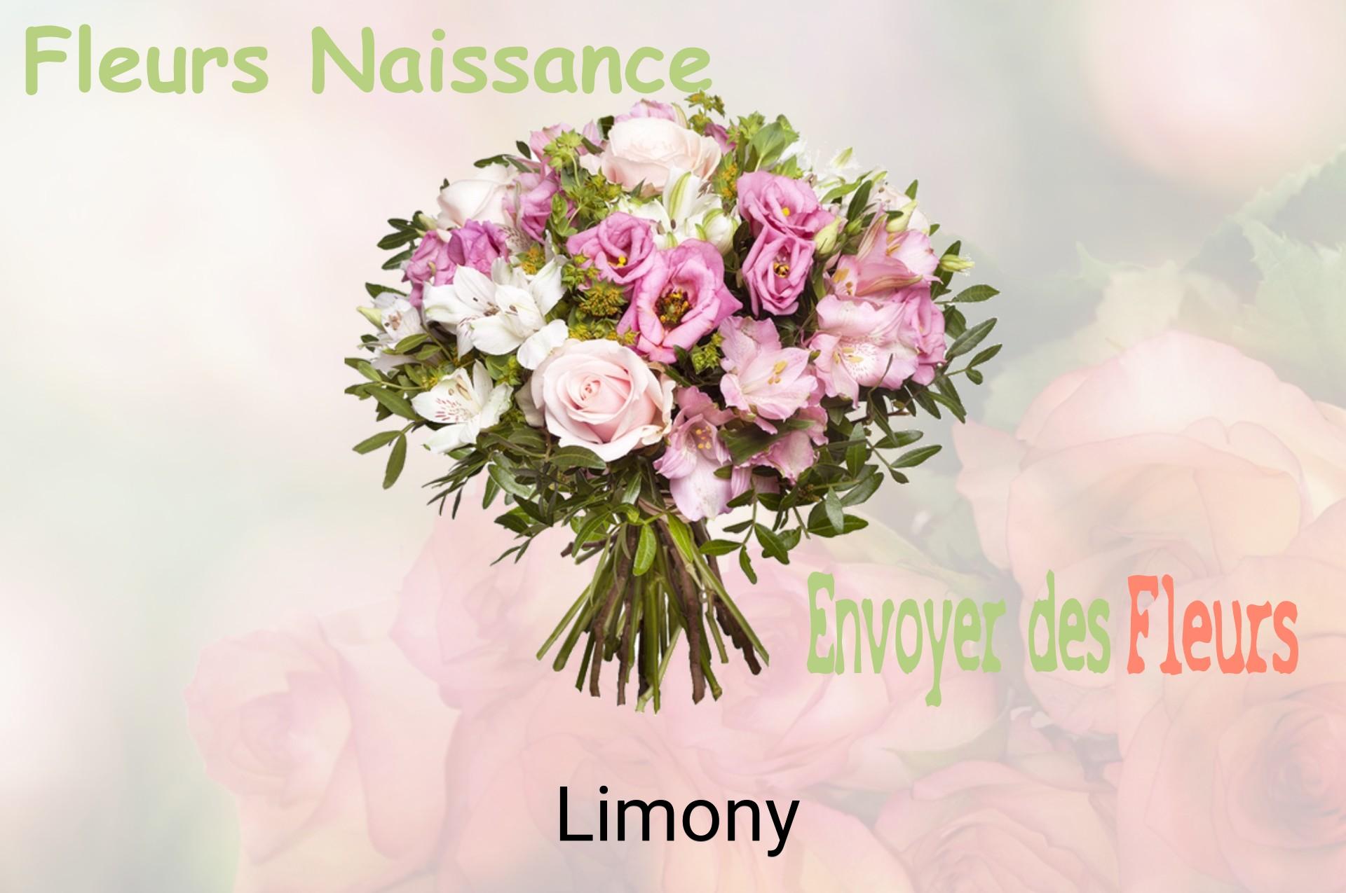 Bouquet de fleurs de naissance livré à Limony
