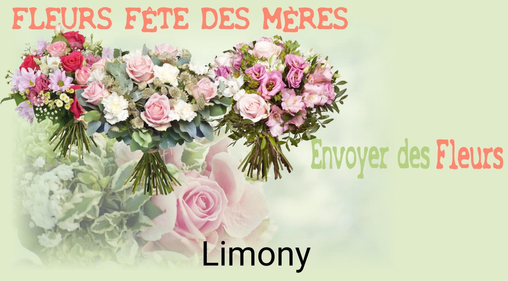 Bouquet de Fête des Mères livré à Limony